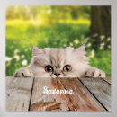 Suche nach persische katze poster Für alle