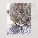 Suche nach algen postkarten Natur