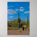 Suche nach wüsten pflanze poster Arizona
