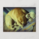 Suche nach labrador welpe postkarten Retriever