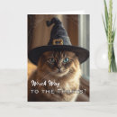 Suche nach lustigen halloween karten Jede person