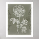 Suche nach blumen silhouette poster Grau