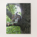 Suche nach eiche puzzle Fotografie