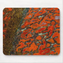 Suche nach versteinert mousepads Mehrfarbig