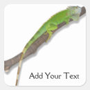 Suche nach iguana aufkleber Reptil