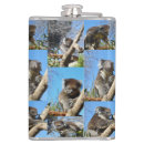 Suche nach koala flachmänner Tier