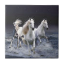 Suche nach laufen fliesen Tiere