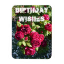 Suche nach rote rosen magnete Für sie