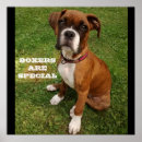 Suche nach boxerhund poster Jede person