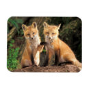 Suche nach bauer magnete Tiere