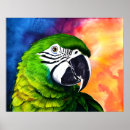 Suche nach niedlicher papagei poster Vögel