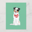 Suche nach australischer schäfer postkarten Jede person