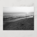 Suche nach florida strände postkarten Meer