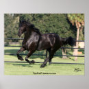 Suche nach friesisch poster Friesianisch