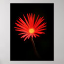 Suche nach makro poster Schön