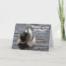 Suche nach lustige enten karten Stockenten