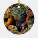 Suche nach meereswelt ornamente Für alle