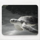 Suche nach schildkröte muschel mousepads Ozean
