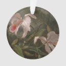 Suche nach kolibris ornamente Natur