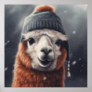 Suche nach alpaka poster Für alle