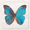 Suche nach tropischer schmetterling Gäste