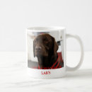 Suche nach labradors Liebe