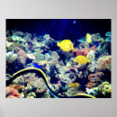 Suche nach gelbe fische poster Schwimmen