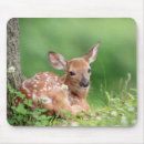 Suche nach fauna mousepads Für alle