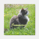 Suche nach sunshine magnete Sommer