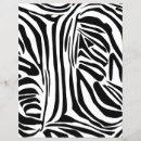Suche nach safari flyer Zebra