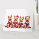 Suche nach cairn terrier karten Welpe