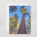 Suche nach sequoia postkarten Natur