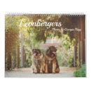 Suche nach hunde kalender Leonberger