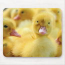 Suche nach kleine mousepads Tier