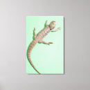 Suche nach eidechsen leinwandbilder Kaltblütig