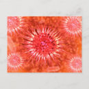 Suche nach mikrobiologie postkarten Biomedizinische illustrationen