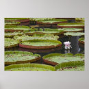 Suche nach mauritius poster Reise