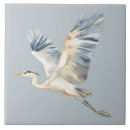 Suche nach im flug fliesen Vogelvogel