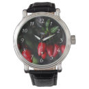Suche nach salsa accessoires Paprikaschoten