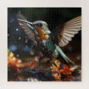 Suche nach kolibri puzzle Flug