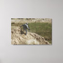 Suche nach irak leinwandbilder Feuerwaffen