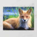 Suche nach roter fuchs postkarten Natur