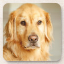 Suche nach golden retriever untersetzer Portrait
