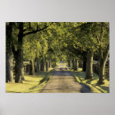 Suche nach lexington poster Usa