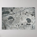 Suche nach gebrochenen poster Farbig