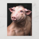 Suche nach weg vom haken poster postkarten Schwein