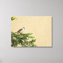 Suche nach spatz leinwandbilder Wild
