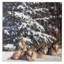 Suche nach sätze fliesen Natur