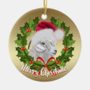 Suche nach weihnachtsziege ornamente Für alle