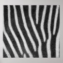 Suche nach tiermuster poster Zebra